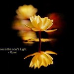 Love is the Soul’s Light – Rumi Quotes