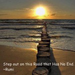 Rumi  step out of the road